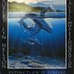 Extinction is Forever     s1