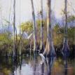 Swamp with Birds     s1